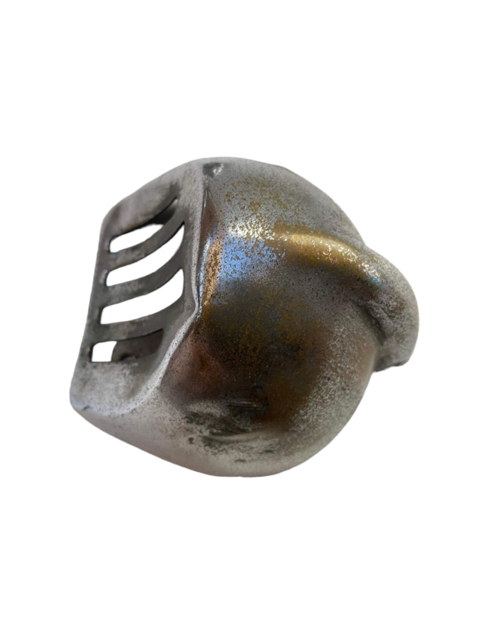 Coprinasello Vespa