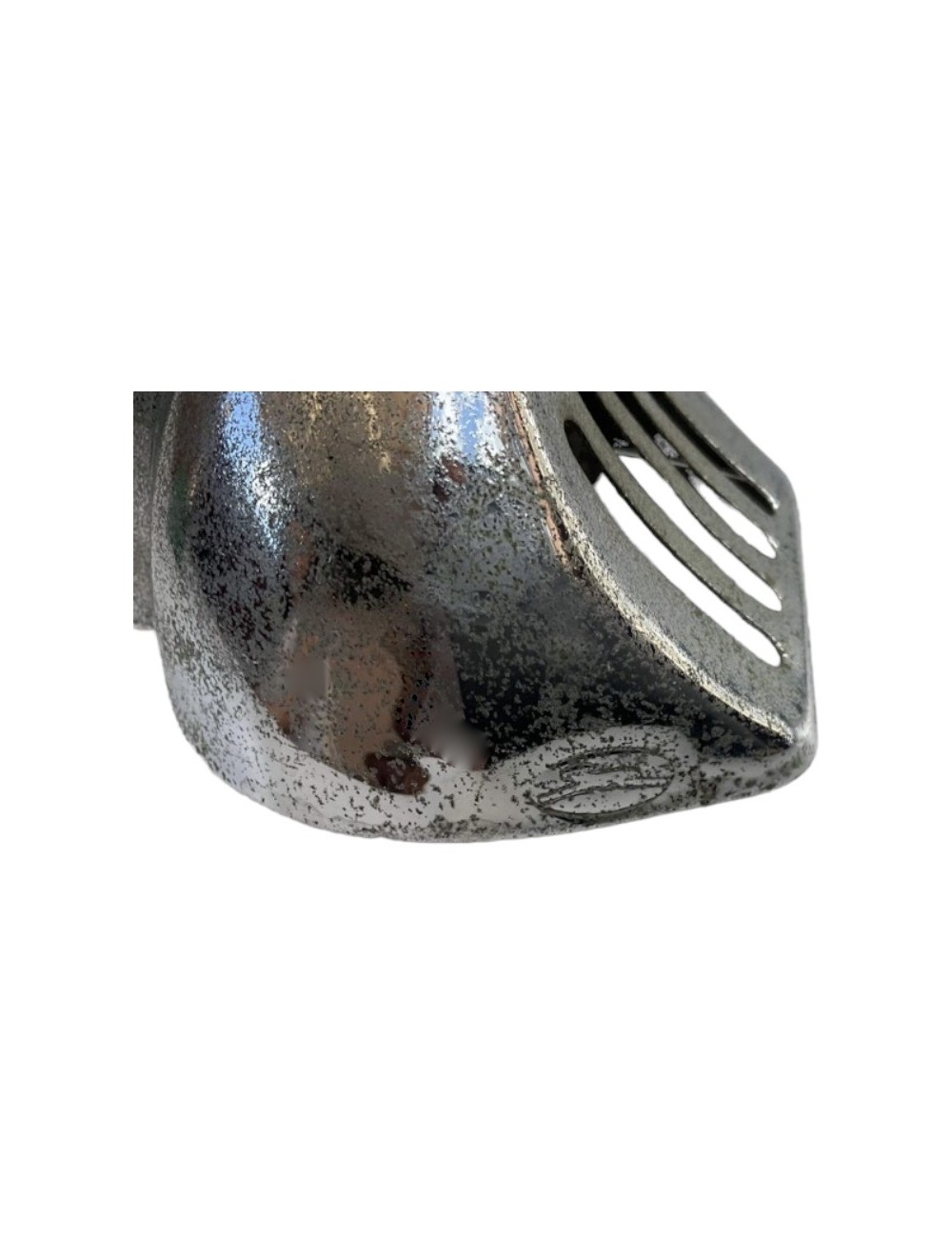 Coprinasello Vespa