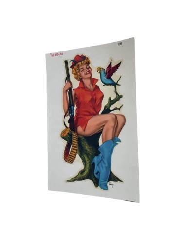Decal Pin Up