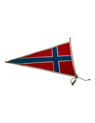 Bandierina Norvegia