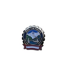 Vespa Club Pinzgau Pin