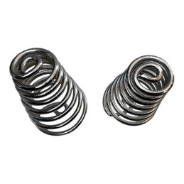 Pair of Chrome Springs for...