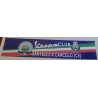 Fascia Vespa Club San Felice a Cancello
