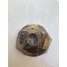 Parabola Vespa Faro Basso da 115