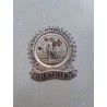 Placca 1 Raduno Vespistico Internazionale  Firenze 1965