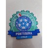 Toppa VWD Pontedera 2024