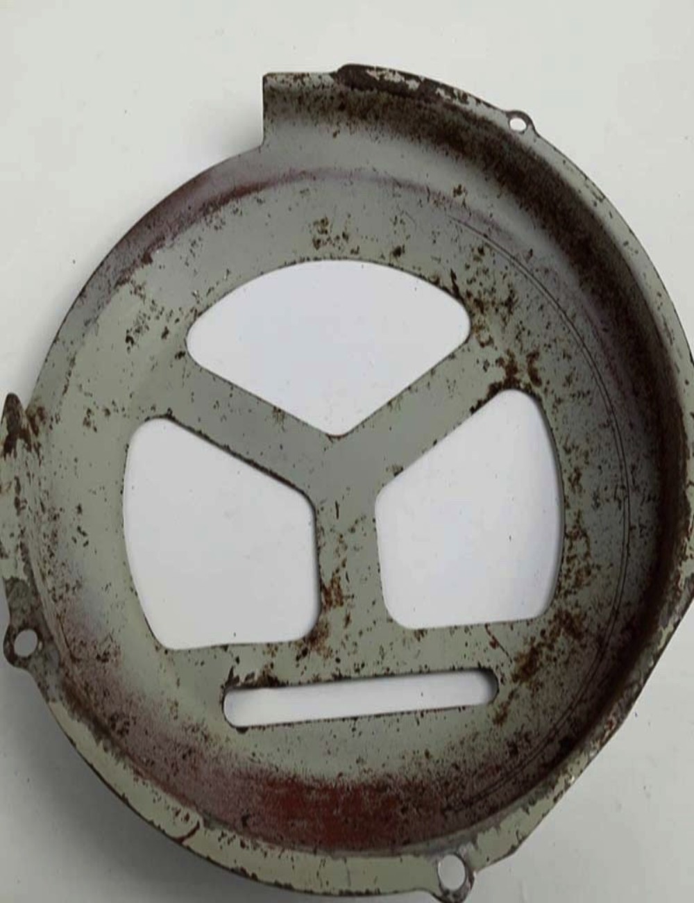 Convogliatore Vespa struzzo