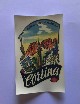 Decal Cortina