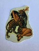 Decal ad acqua