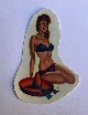 Decal ad acqua