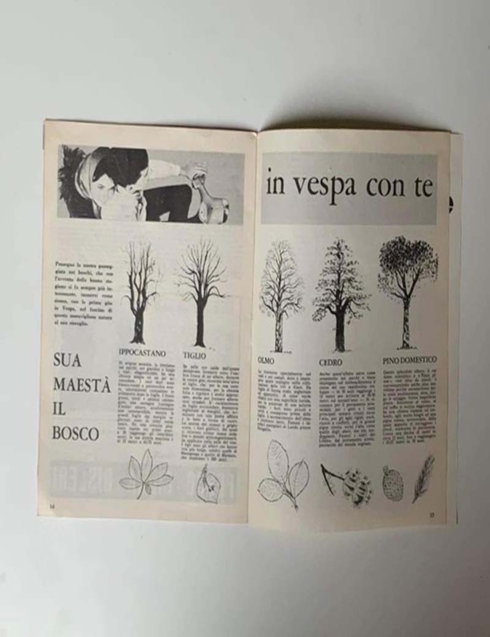 Notiziario bimestrale dei vespisti italiani - Vespa Club Italia