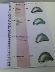 Catalogo listino prezzi accessori Vespa 1959