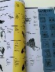 Copia catalogo accessori Vespa