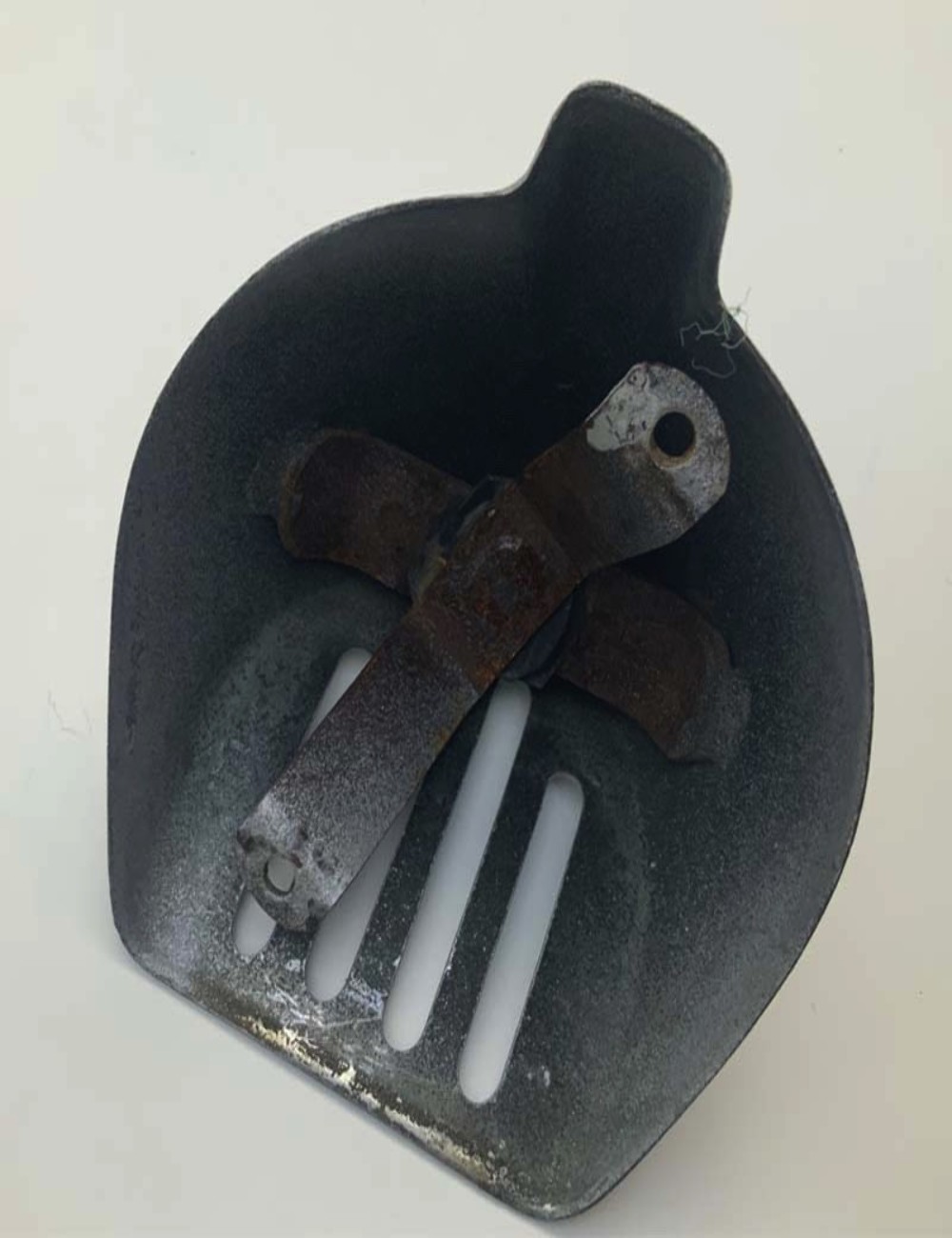 Coprinasello Vespa