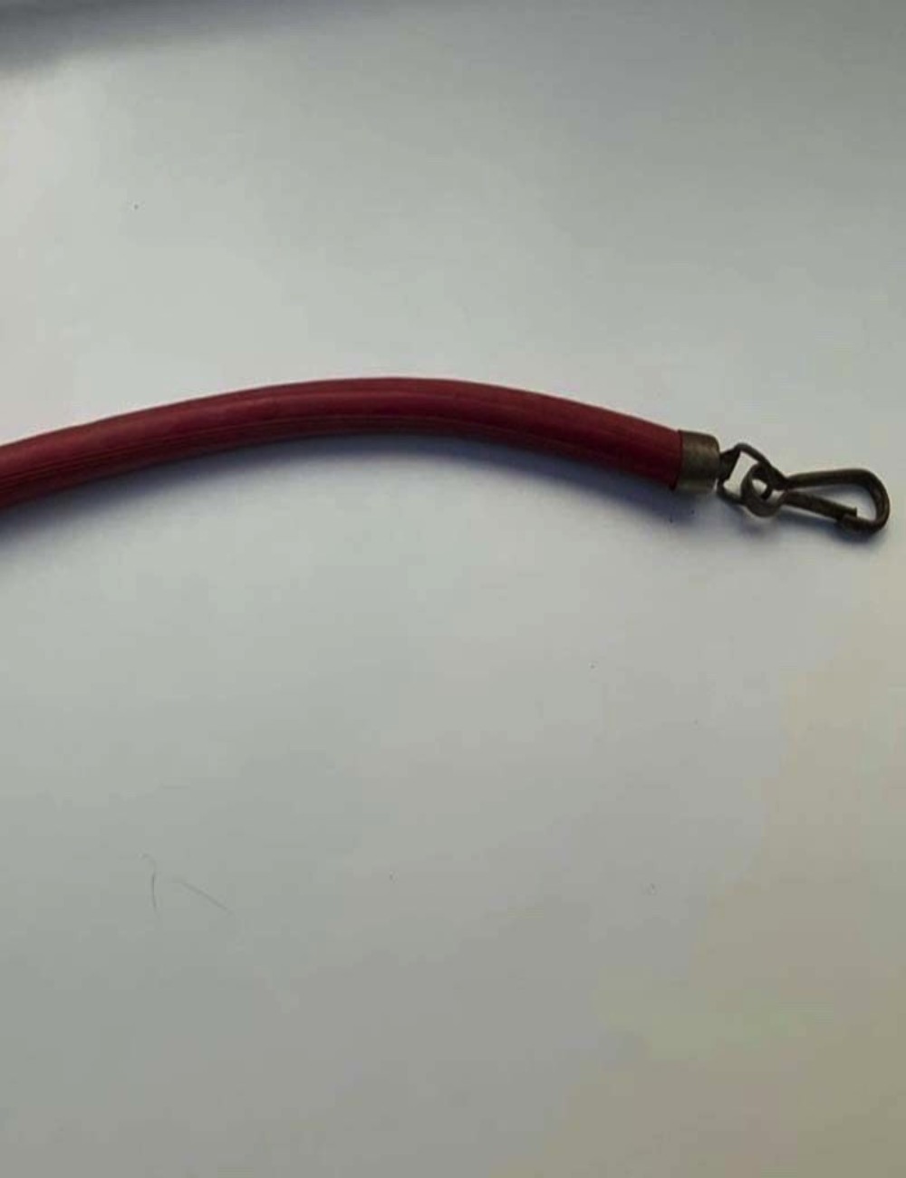 Cinghia sella. 38 cm