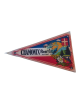 Bandierina Chamonix